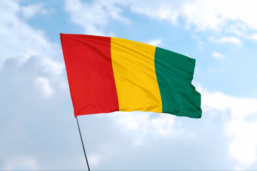 Guinea Faces Tensions Over Draft Constitution Vote