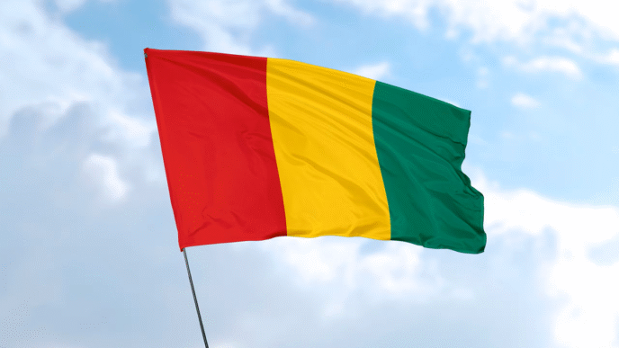 Guinea Faces Tensions Over Draft Constitution Vote