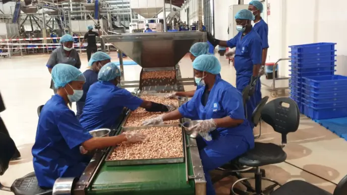 Julius Berger (News Central TV)