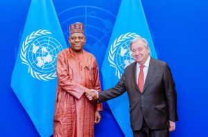 Nigeria Pushes Security Council Bid at UN