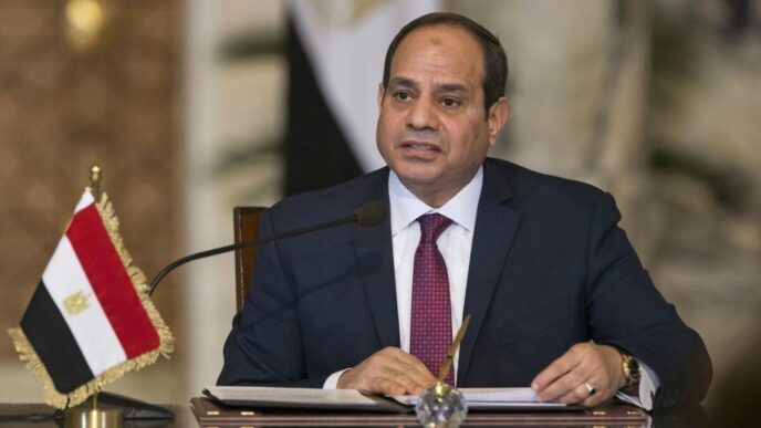 Sisi Considers Clemency Bid for Activist Abdel Fattah