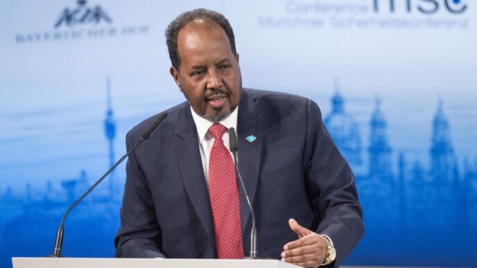 Somali President Urges UN to Secure Lasting Ceasefire in Gaza
