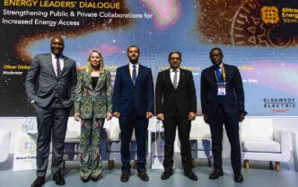 African Energy Leaders Urge Government-Private Collaboration