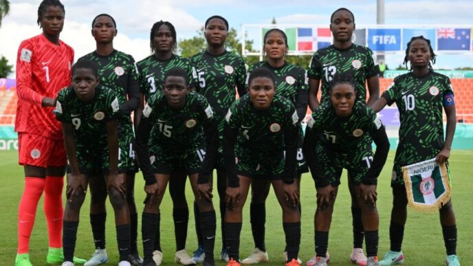 Flamingos (News Central TV)