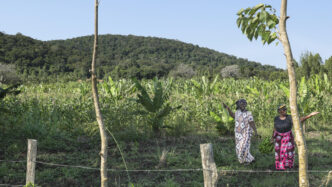 Kenya (News Central TV)