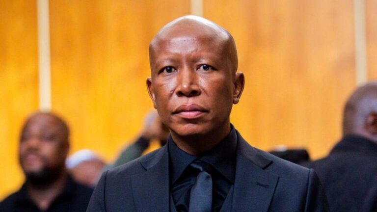 Malema Condemns Xenophobia In South Africa