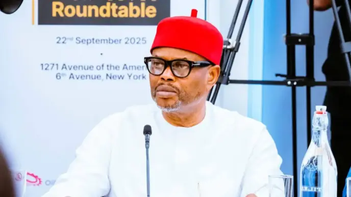 Nigerian Minister Nnaji Quits Over Forgery Scandal