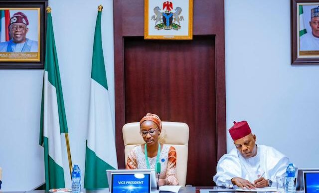 Nigerian Teen Steps In as Vice President For A Day