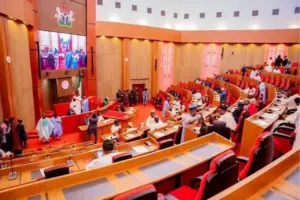 Electoral Amendment: Senate Sets Up 12-Member Committee