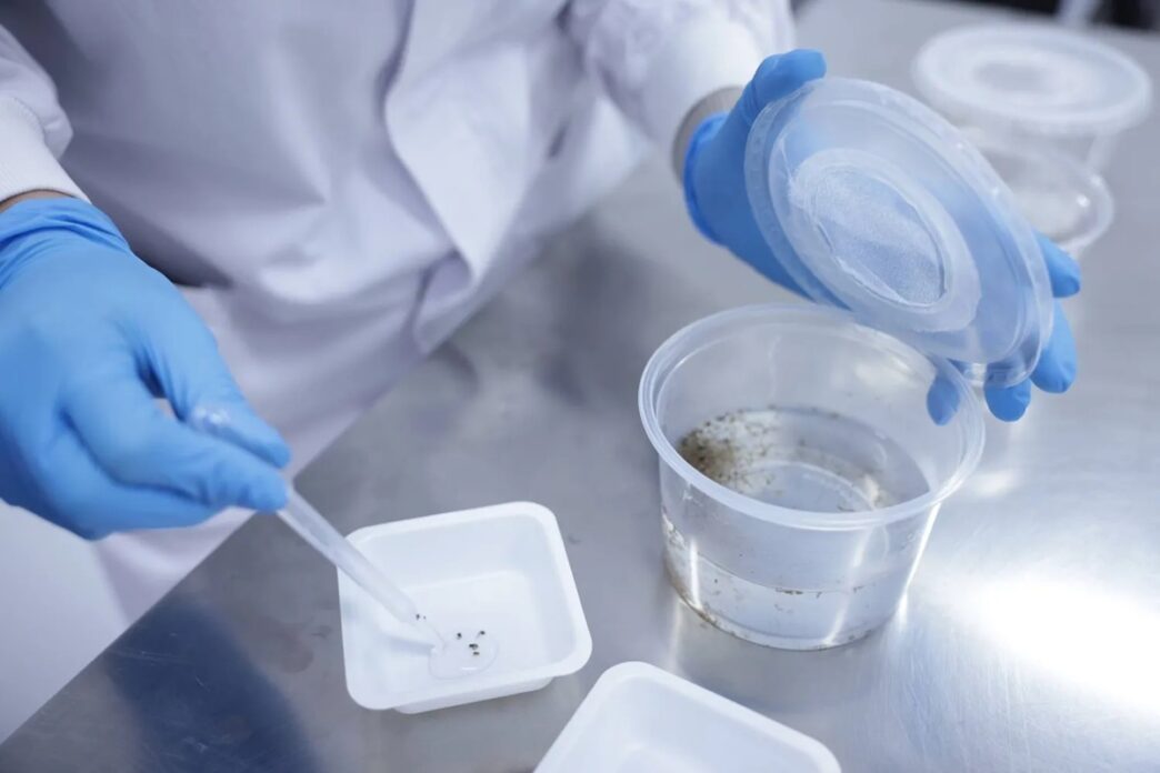 WHO Raises Alarm Over Surge in Drug-Resistant Superbugs