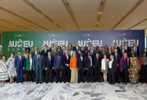 African leaders (News Central TV)