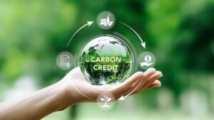 Carbon Credits are Paying Out in Congo