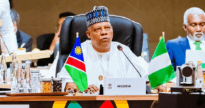G20 Summit: Nigeria Seeks Fair Mineral Trade