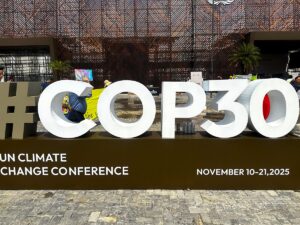 How African Reps Stood Their Ground at COP30