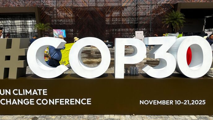 How African Reps Stood Their Ground at COP30