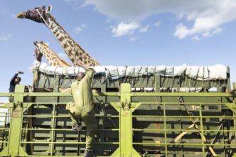 Kenya (News Central TV)