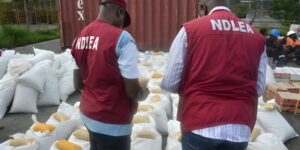 NDLEA (News Central TV)