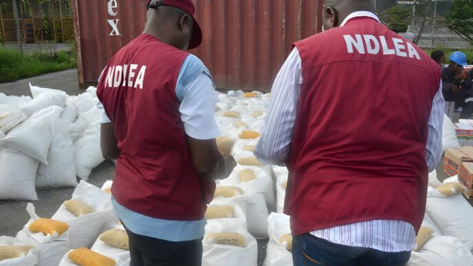 NDLEA (News Central TV)