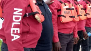 NDLEA Busts Colorado Lab Operation in Lagos
