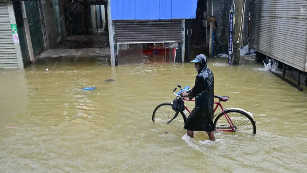 Survivors (News Central TV)