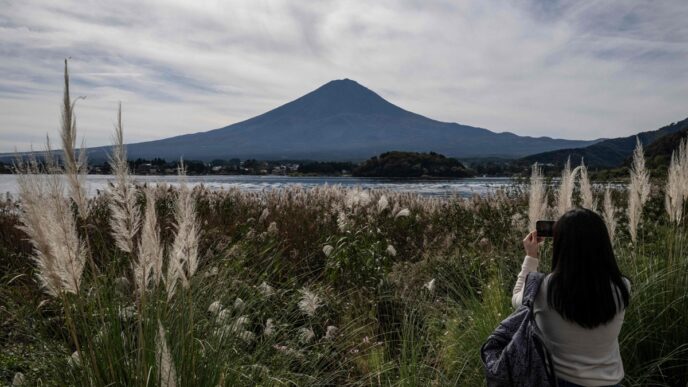 tourism (News Central TV)