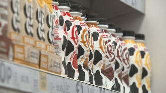 milkshakes (News Central TV)