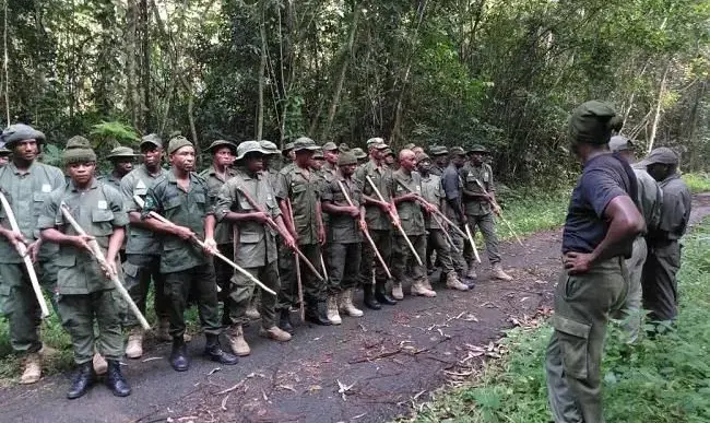 Nigeria Orders Immediate Deployment of 7,000 Forest Guards