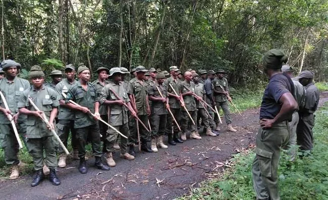 Nigeria Orders Immediate Deployment of 7,000 Forest Guards