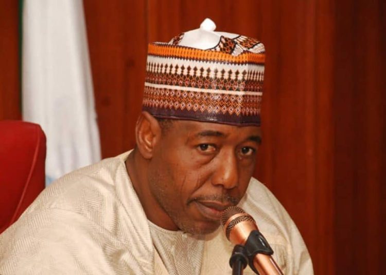 Borno Defends Repentant Terrorist Reintegration (News Central TV)