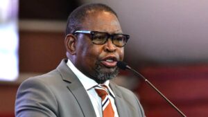 SA Still Repairing Fiscal Damage From Zuma Era - Minister