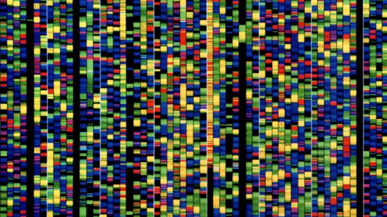 Human Genome’s New AI Tool to Decode Human Genome