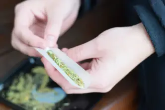 Cannabis (News Central TV)