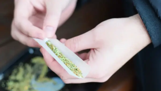 Cannabis (News Central TV)