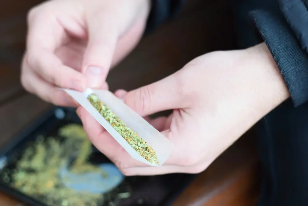 Cannabis (News Central TV)