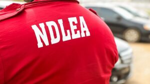 NDLEA Arrests Chinese Woman Over Cannabis Possession (News Central TV)