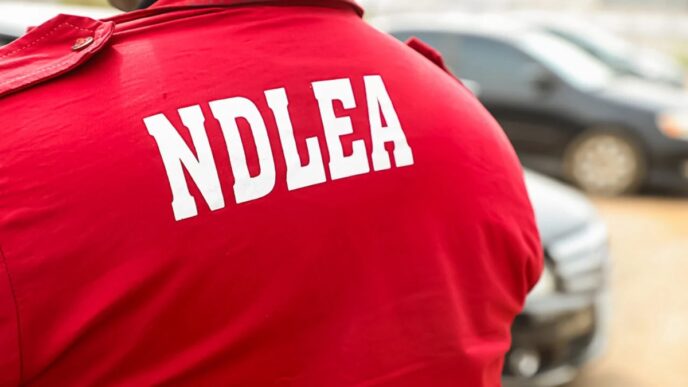 NDLEA Arrests Chinese Woman Over Cannabis Possession (News Central TV)