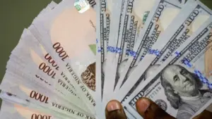 Naira Rises Slightly Against Dollar