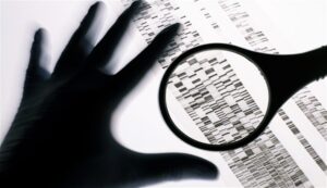 Nigeria to Use DNA to Identify Terror Suspects