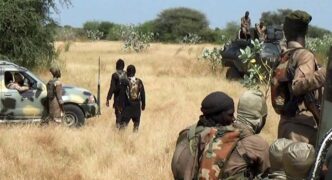 Nine Soldiers Die in Borno Attack