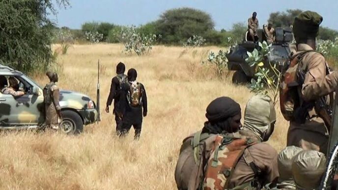 Nine Soldiers Die in Borno Attack
