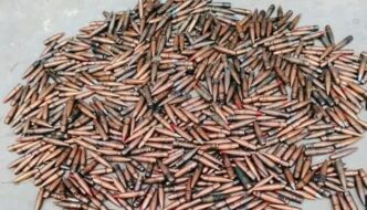 Police Recover 912 Rounds of Ammunition in Borno