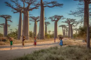 The Safest Places in Africa to Visit Now
