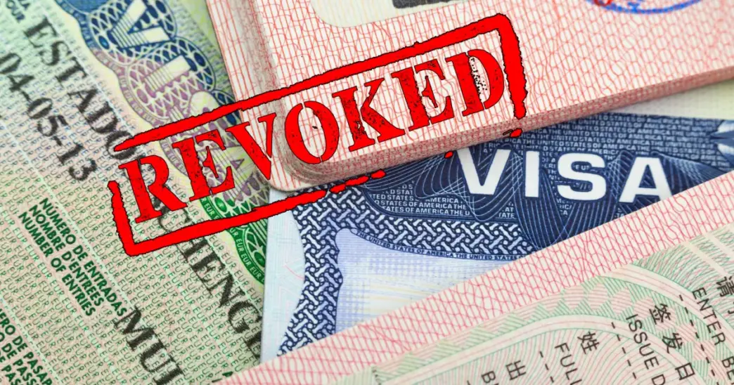 US Revokes 100,000 Visas Since Trump’s Return