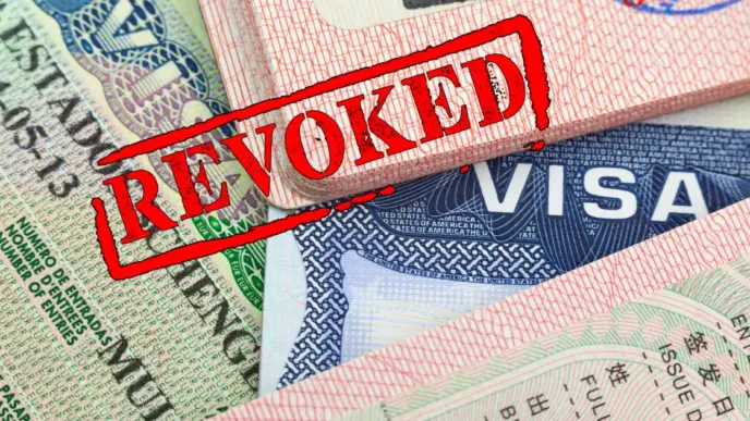 US Revokes 100,000 Visas Since Trump’s Return