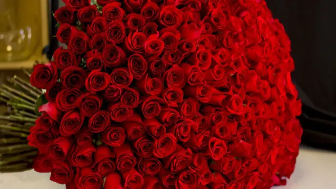 Africa Ships Millions of Roses During 2026 Valentine