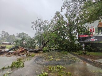 Cyclone Kills 31 in Madagascar’s City