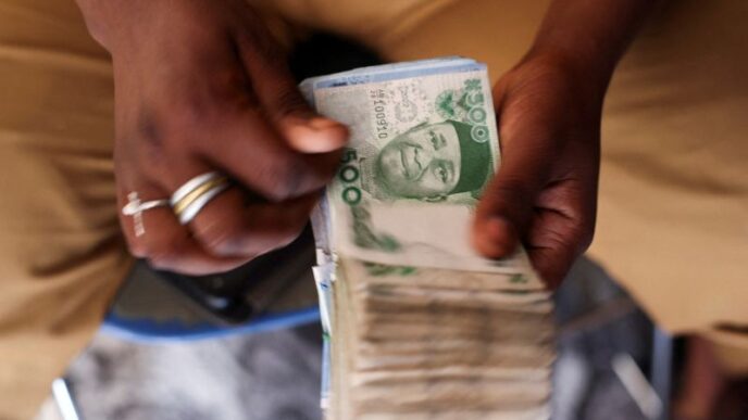 Nigeria’s Foreign Reserves Rise to $49 Billion