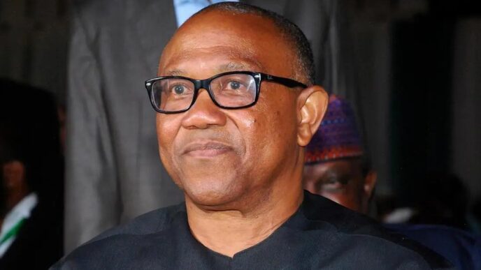 Peter Obi: 2027 Election Votes Must Count