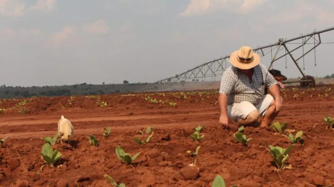 Zimbabwe Farmers Appeal to US Over Payouts