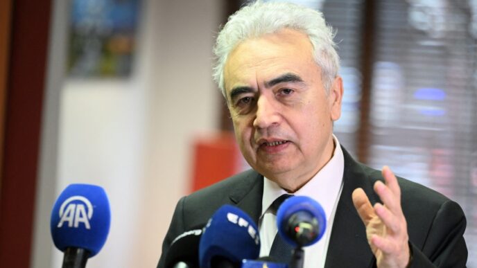 'Plenty of Oil' in Global Market Despite Middle East Turmoil - IEA